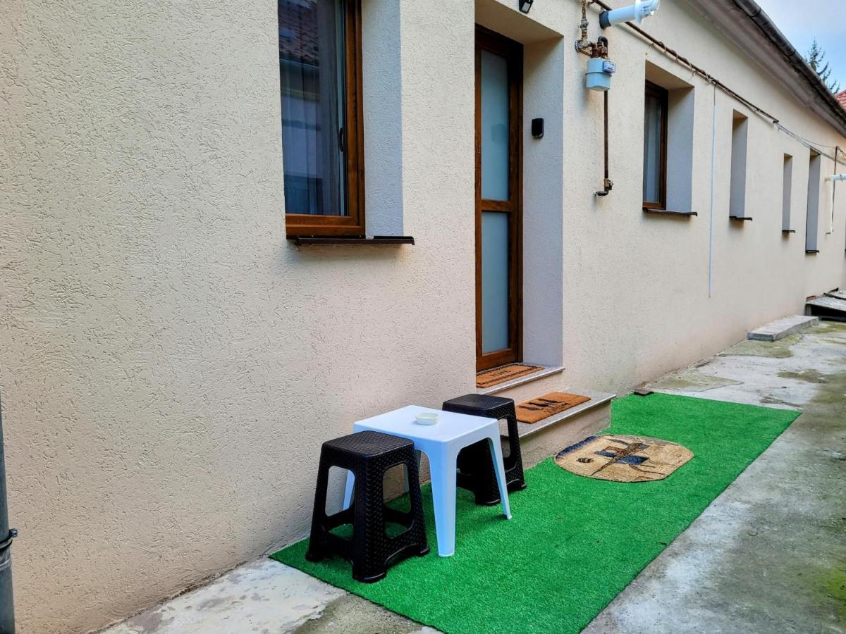 布拉索夫Casa Feli公寓 外观 照片