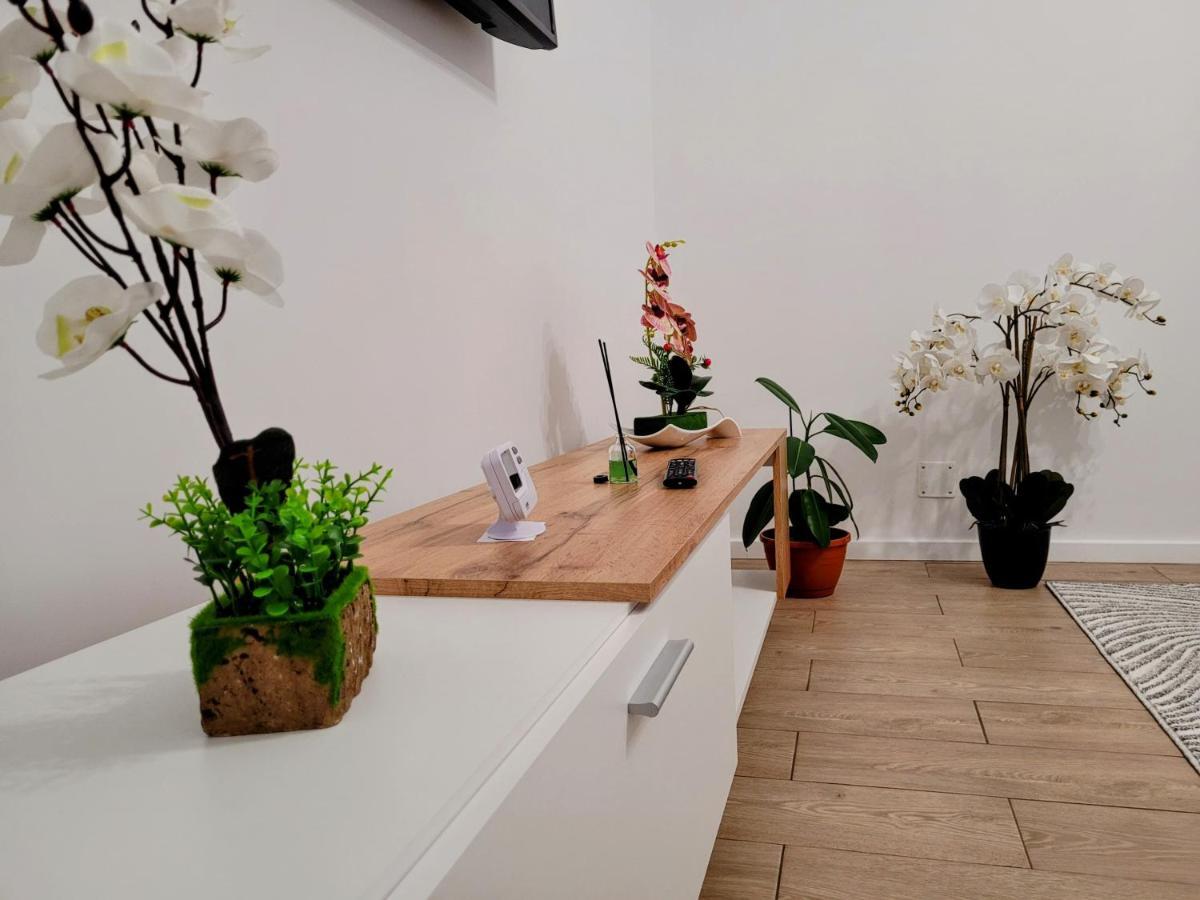 布拉索夫Casa Feli公寓 外观 照片